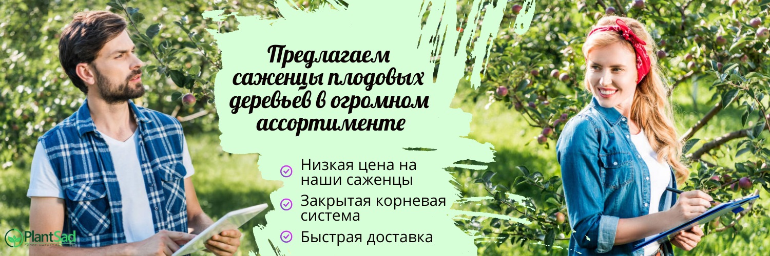 Плодовые деревья